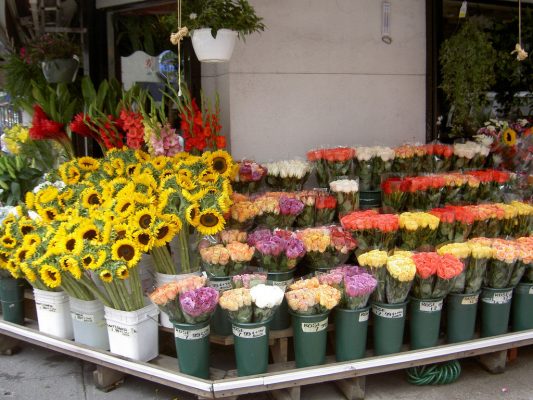 shop hoa tươi quận ô môn