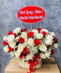 Giỏ hoa sinh nhật HSN 05