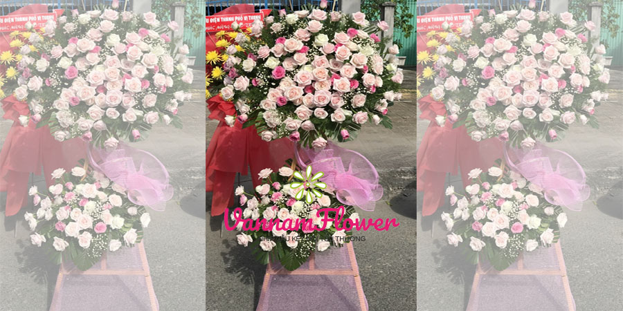 Shop Hoa Tây Ninh nhiều mẫu hoa phong phú