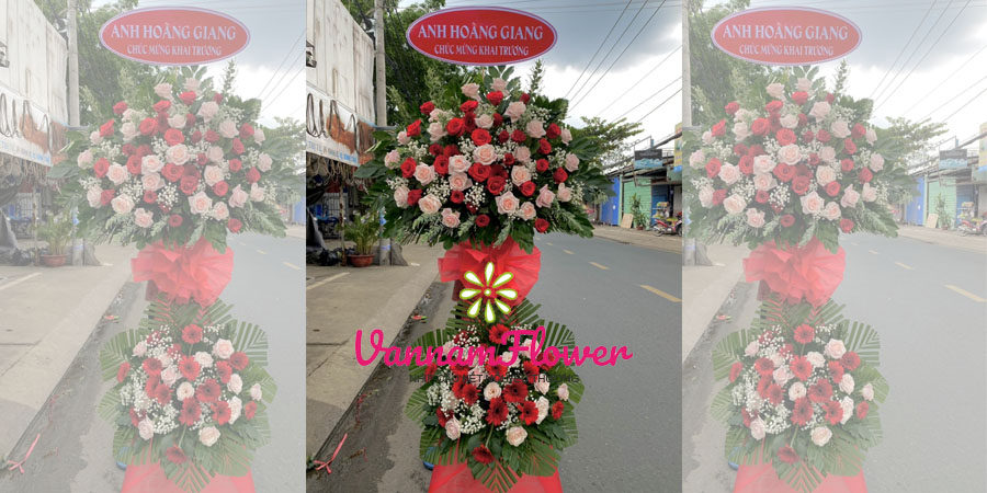 Shop Hoa Tươi Tại Huyện Gò Dầu - Tây Ninh