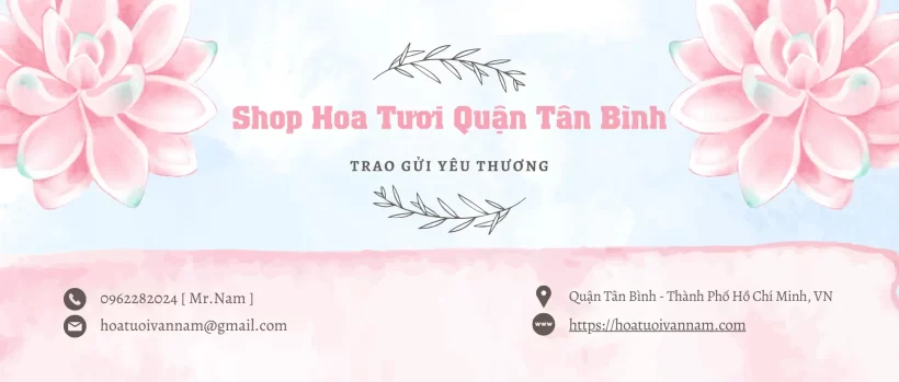 Shop Hoa Tươi Quận Tân Bình - Hoa Tươi Văn Nam